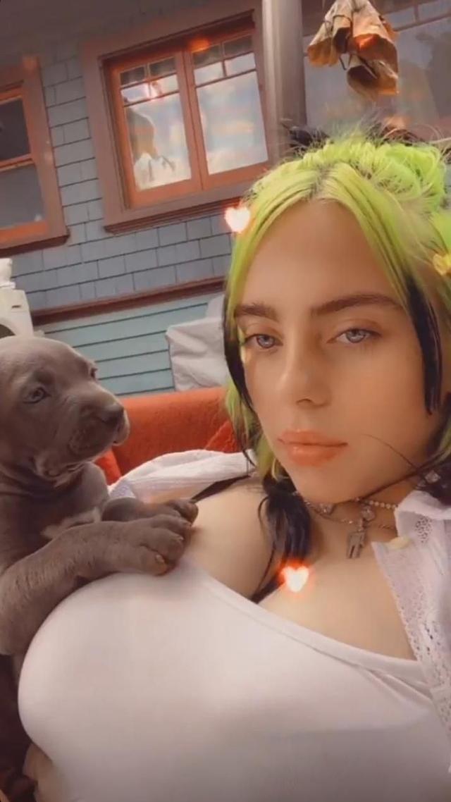 Billie Eilish and Her Puppy Pillows free nude pictures