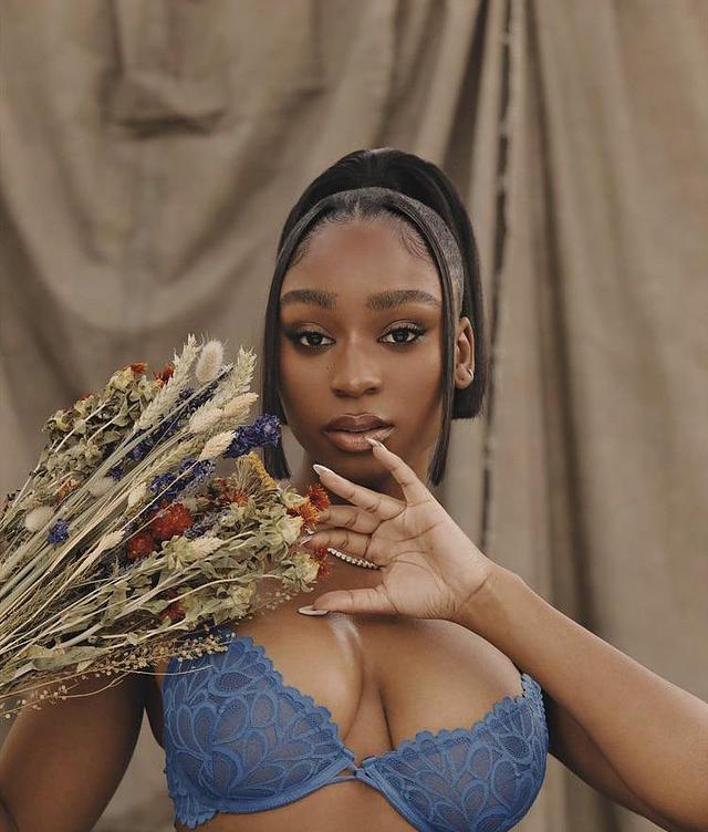 Normani (5th Harmony) free nude pictures