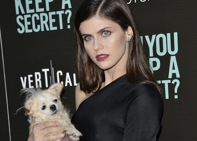 Alexandra Daddario Attends Movie Premiere with the World’s Saddest Dog free nude pictures