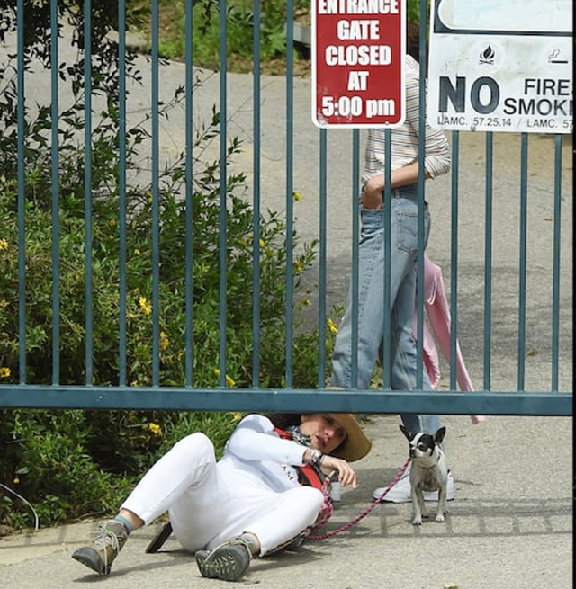 Andie McDowell and Margaret Qualley Climb Under a Fence Fetish and Other Fine Things! free nude pictures